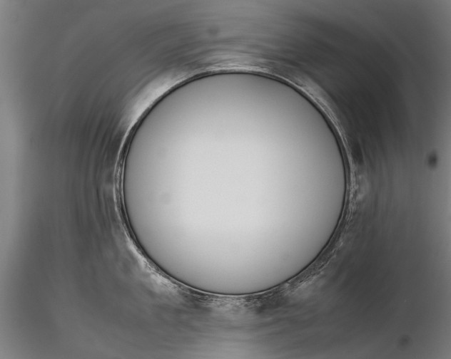 X0000115660909200912031329