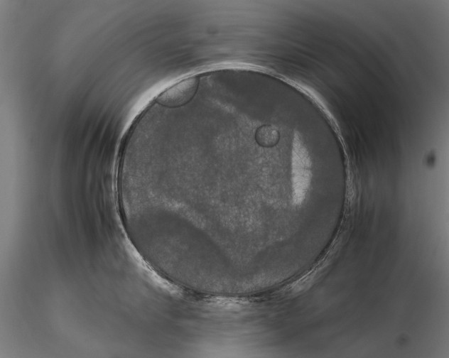 X0000115660910200912031329