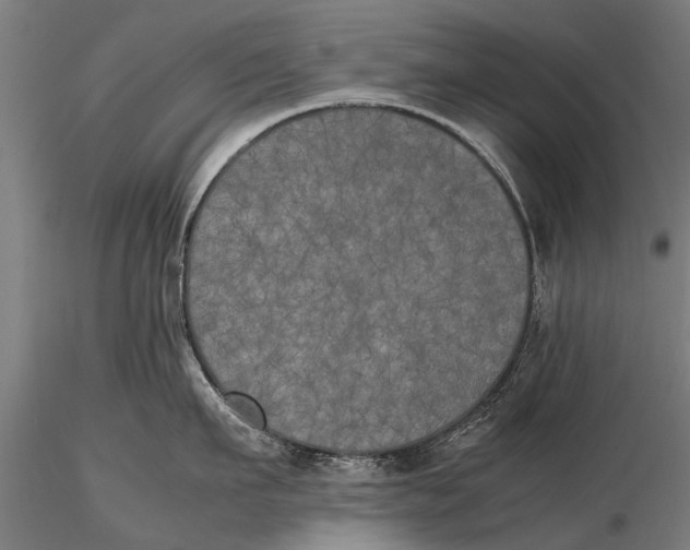 X0000115660911200912031329