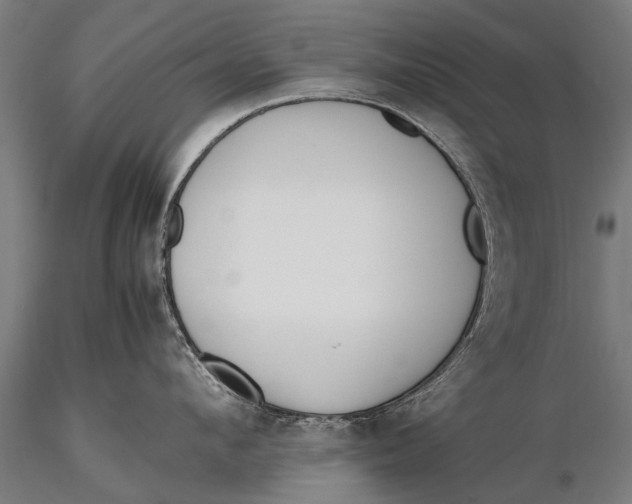 X0000115660912200912031329