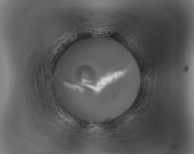 X0000115660913200912031329