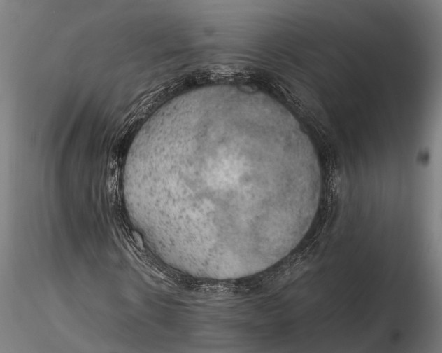 X0000115660914200912031329