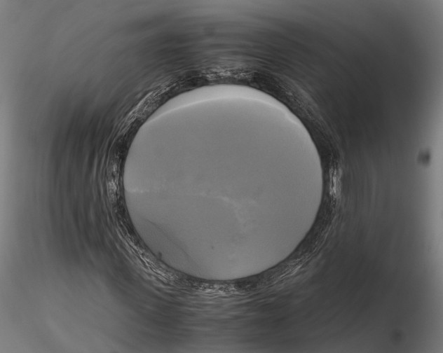 X0000115660915200912031329