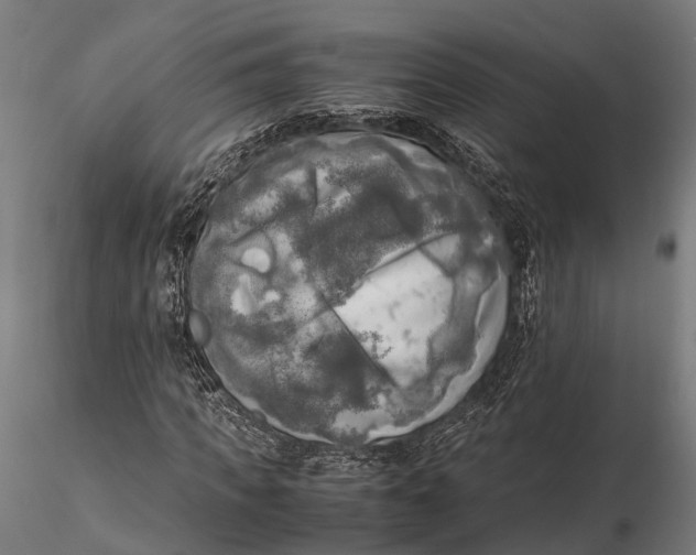 X0000115660917200912031329