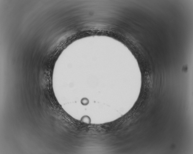 X0000115660918200912031329