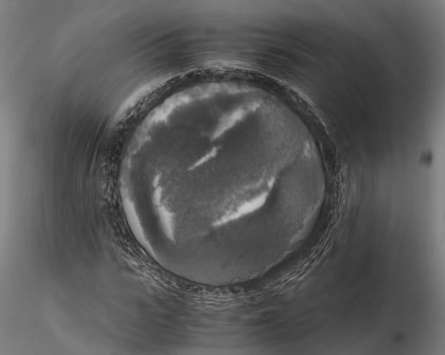 X0000115660919200912031329