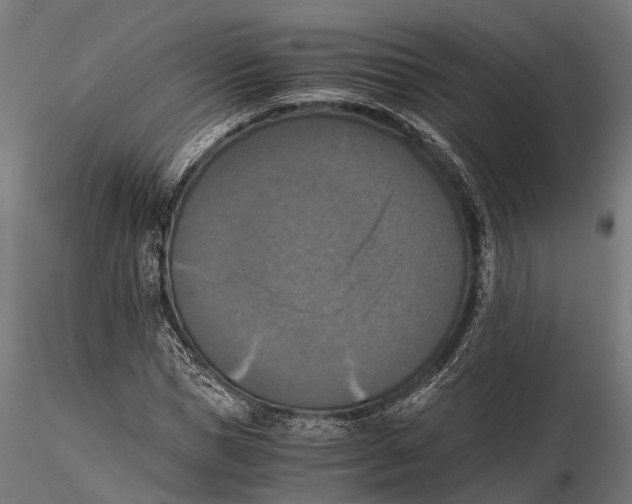 X0000115660921200912031329