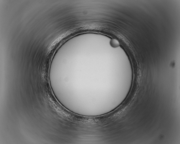 X0000115660922200912031329