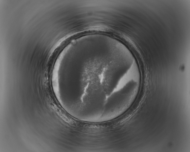 X0000115660923200912031329