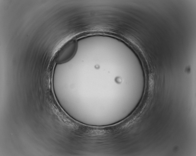 X0000115660925200912031329