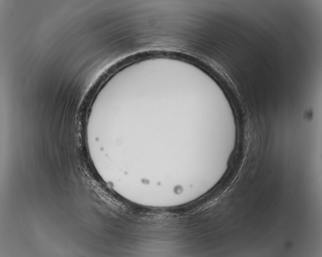 X0000115660926200912031329