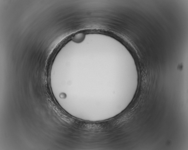 X0000115660927200912031329