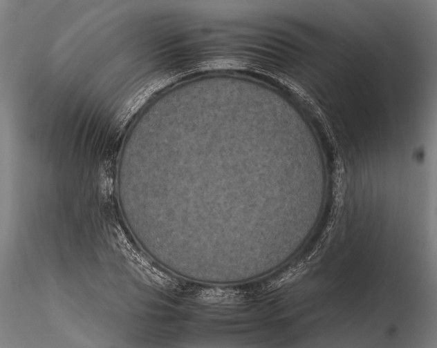 X0000115660929200912031329