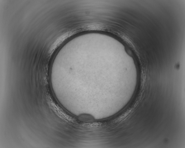 X0000115660930200912031329