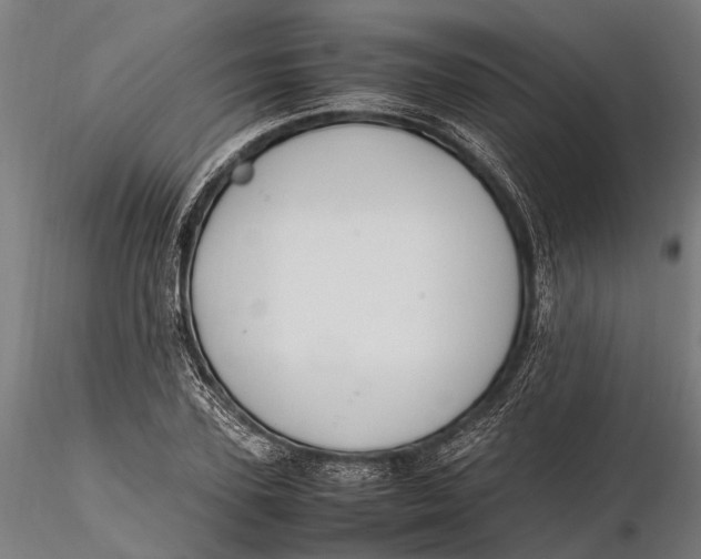 X0000115660931200912031329