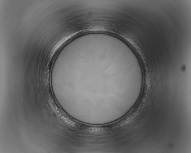 X0000115660933200912031329