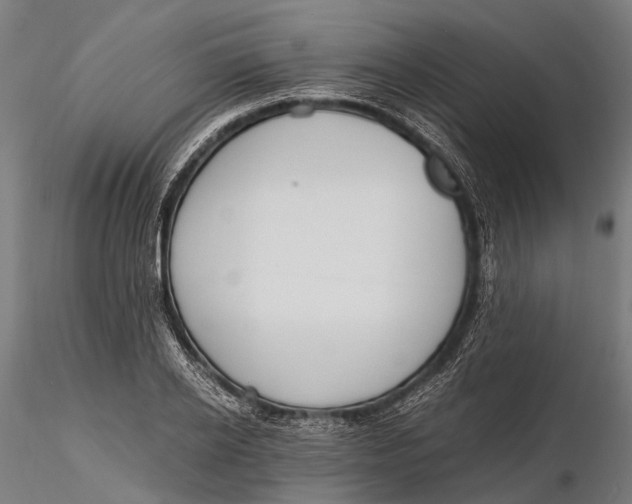 X0000115660934200912031329