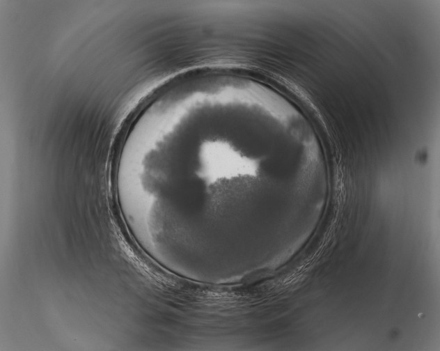 X0000115660935200912031329