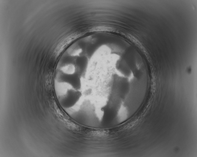 X0000115660937200912031329