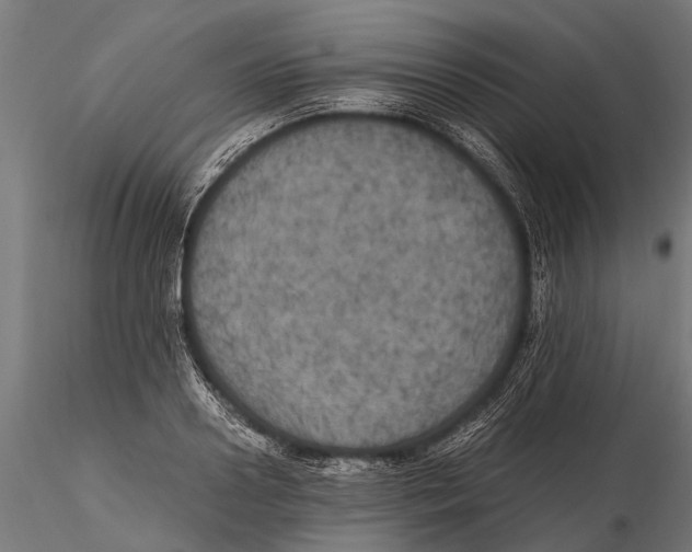 X0000115660938200912031329