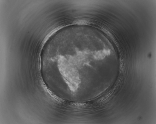 X0000115660939200912031329