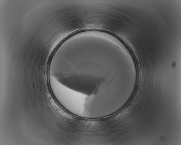 X0000115660941200912031329