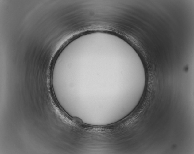 X0000115660942200912031329