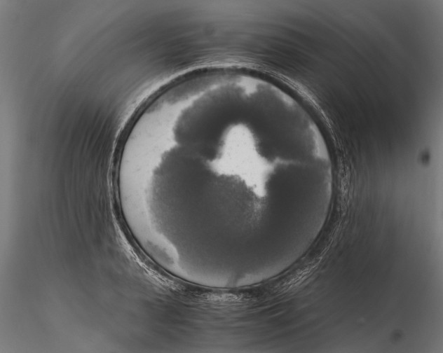 X0000115660943200912031329