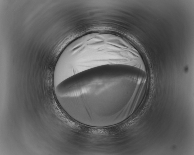 X0000115660945200912031329