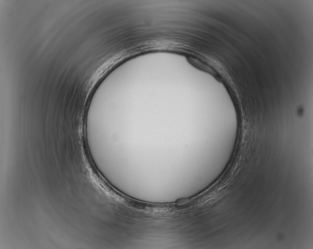 X0000115660946200912031329