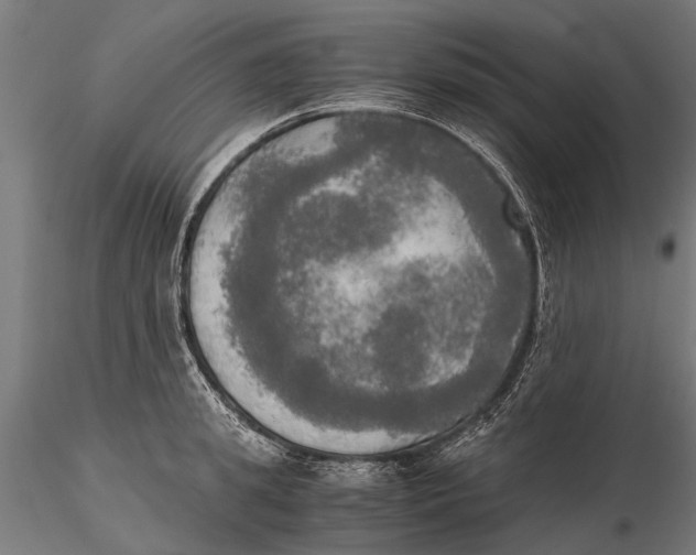 X0000115660949200912031329