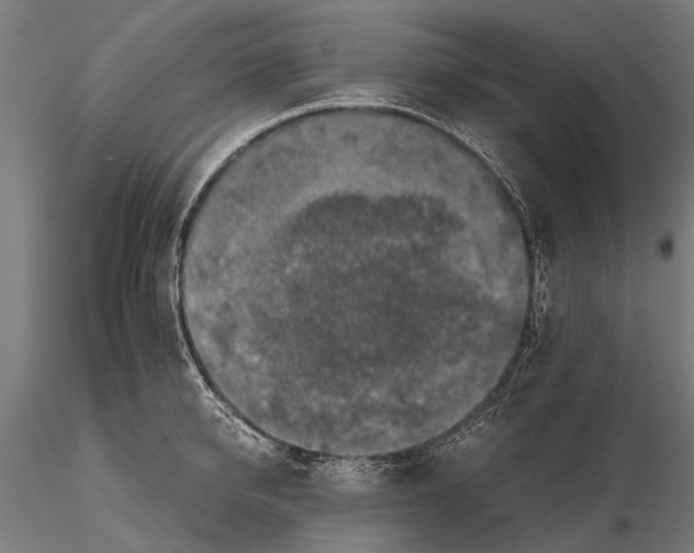 X0000115660950200912031329