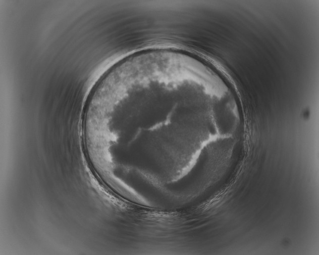 X0000115660951200912031329