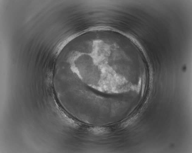 X0000115660953200912031329