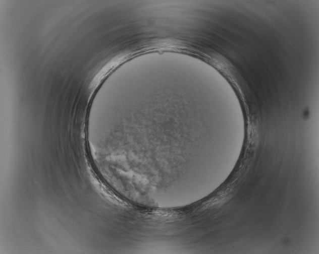 X0000115660954200912031329