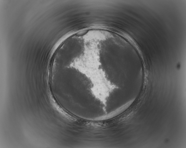 X0000115660955200912031329