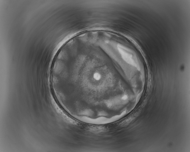 X0000115660957200912031329