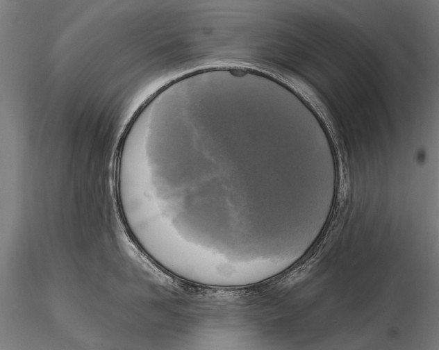 X0000115660958200912031329