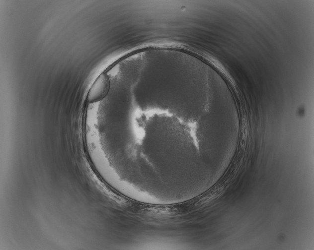 X0000115660959200912031329