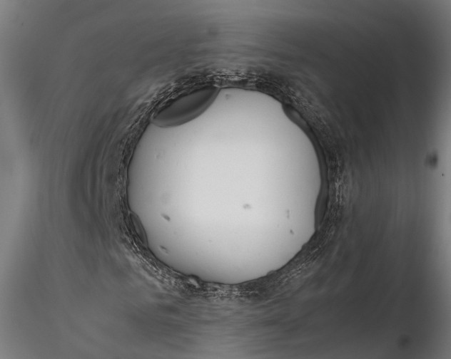 X0000115660961200912031329