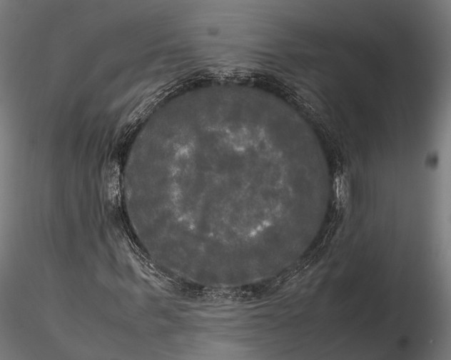 X0000115660963200912031329