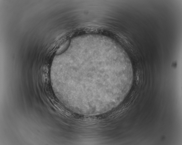 X0000115660964200912031329