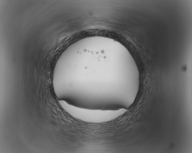 X0000115660965200912031328