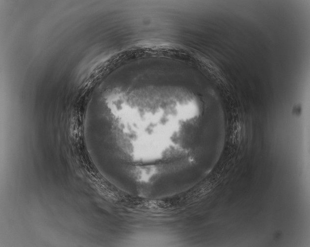 X0000115660966200912031328