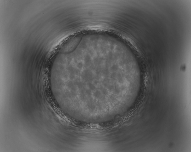 X0000115660968200912031328