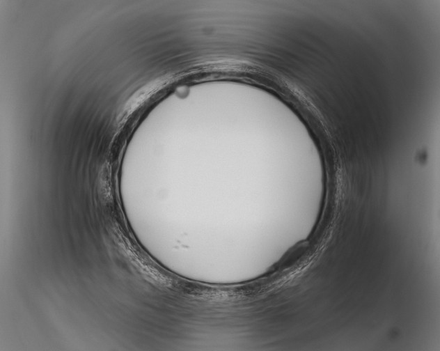 X0000115660970200912031328