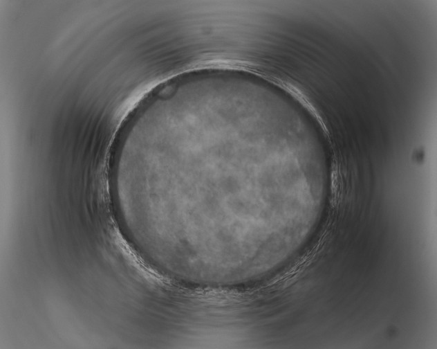 X0000115660972200912031328