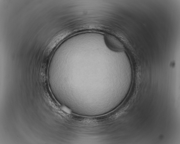 X0000115660977200912031328