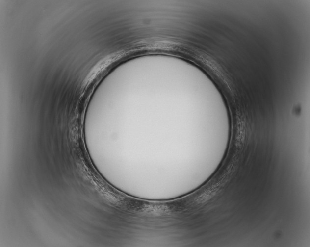 X0000115660978200912031328