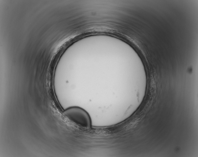 X0000115660979200912031328